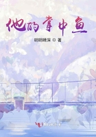 异世邪君有声小说大灰狼