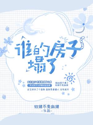 337p日本