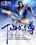 龟甲小说免费阅读