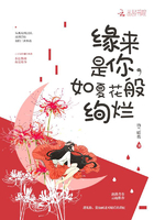 闯入者电影