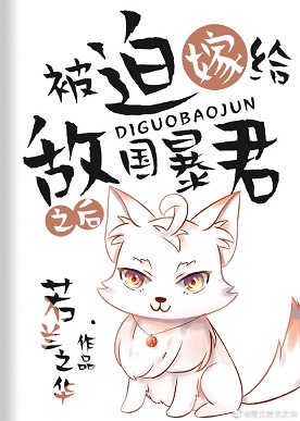 射菊吧