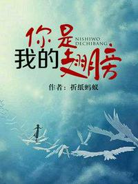 纯白少女骑士团