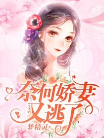 黑帮大佬的365第二部未删减