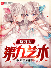 鸟炸天辅助
