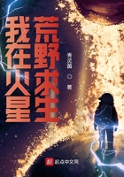穆斯林的葬礼电影