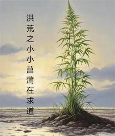 k视频网络分享系统