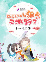 猫咪2.0