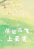 亚洲日本va中文字幕久久