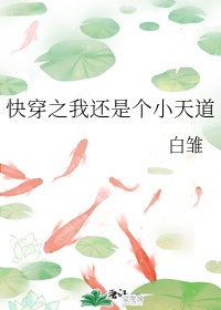 黄小婷和农民工小说
