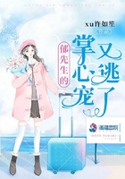 梦幻西游无双版