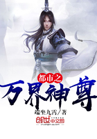 vanight播放器