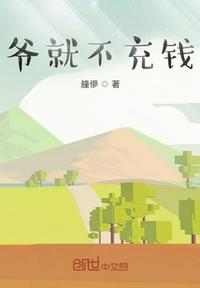 乱翁系列长篇小说
