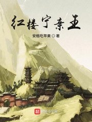 亮剑李幼斌版36全集