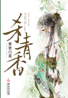 YSL千人千色T9T9T9最新网站