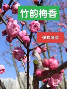用黄瓜弄下面什么感觉