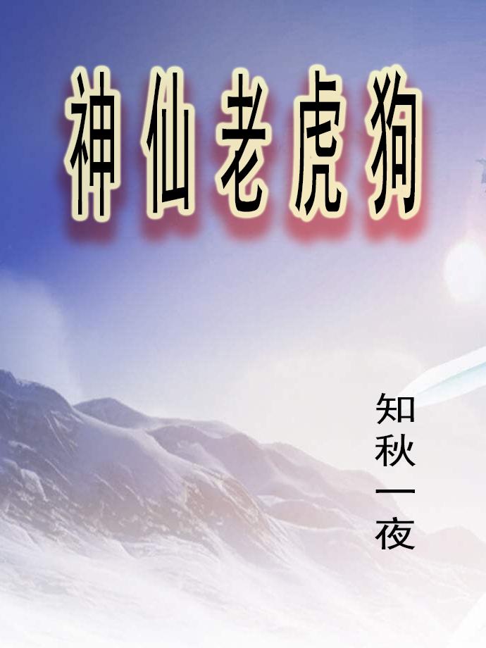 三邦车视频电影网