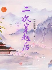 将军高h