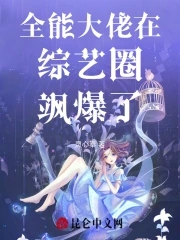回到宋朝当皇帝