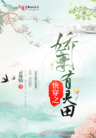 夜火情趣内衣图片
