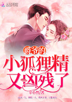 乐可金银花露txt