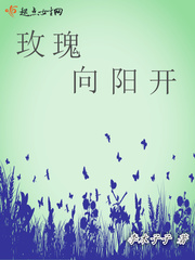 模拟人生三宫六院