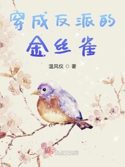 双人床上打扑克牌