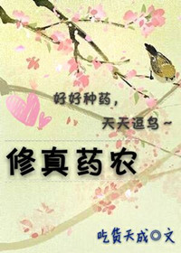金梅瓶超级版2