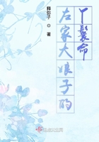 魔道祖师车