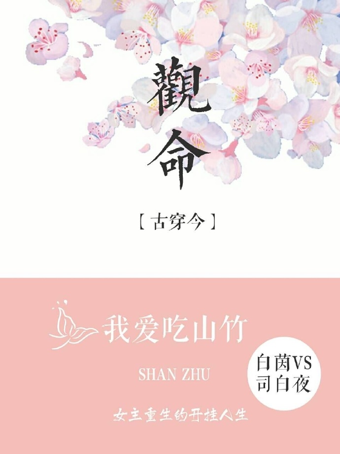 午夜在线免费视频