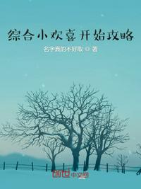 免费版本子网站
