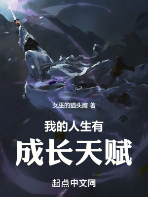 上古卷轴5负重