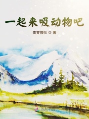 电视剧风筝1-46集完整版免费观看