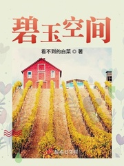 十次导航