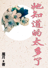 网站你懂我意思正能量晚上下载