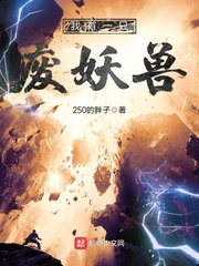 夹绢玻璃