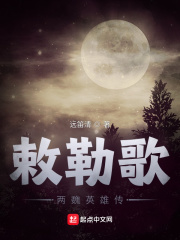 夜月直播视频