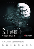 张世豪小说