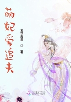 纵横秘史小说