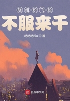 绿皮书 电影
