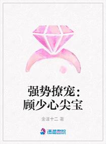 雷电将军向你发起x爱决斗