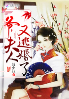 二次元丝袜
