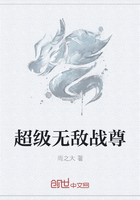 罪城秦小雅完整版在线阅读