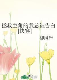 丰满女老板大胸bd高清在线