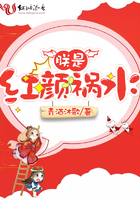 将军不可以!限