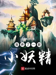 最后一次征服岳