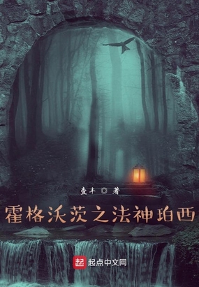 毛毯猫