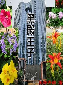 轮流操