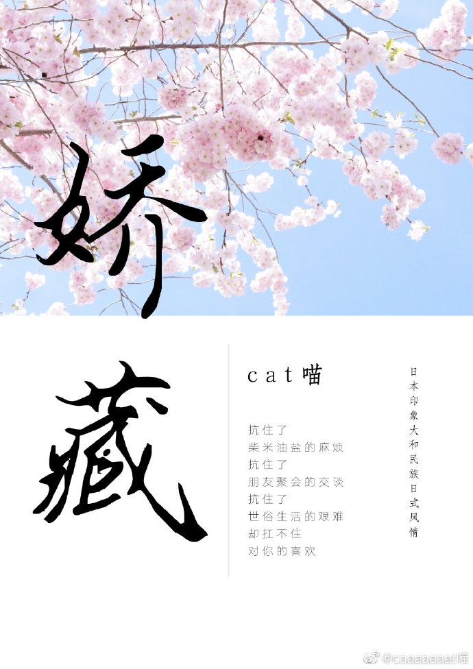 妻管员动漫1至6集