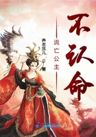 聂风入魔