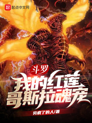 24小时免费看b站视频
